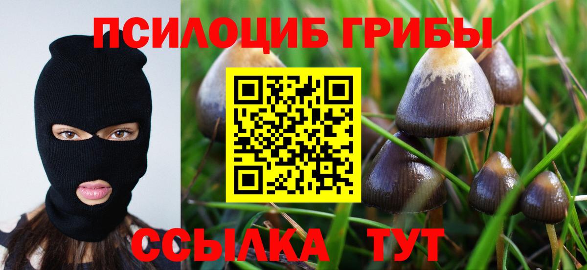 Галлюциногенные грибы MAGIC MUSHROOMS  Вход с VPN  Псилоцибиновые грибы Psilocybe  где продают наркотики  Муром 
